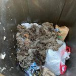 Are “Flush-able” Wipes Safe to Flush”