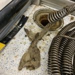 Do You Have A Sewer Main Back Up?