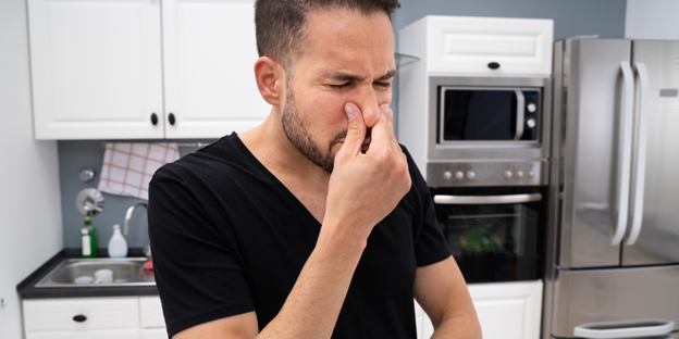 The Smell of Rotten Eggs 