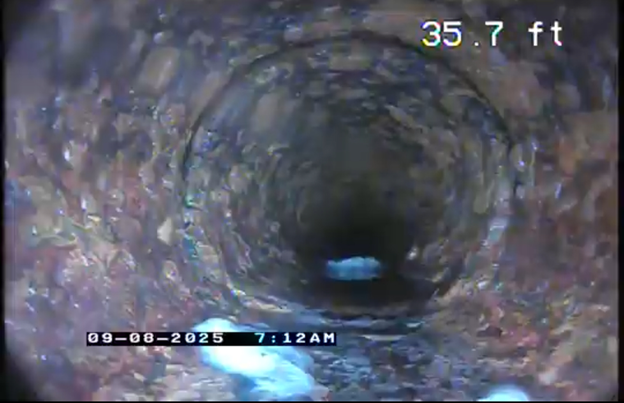 2. Grease and Organic Buildup
