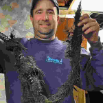 Clogged Drain? Here’s What You Can Try First – And When to Call a Drain Cleaning Pro